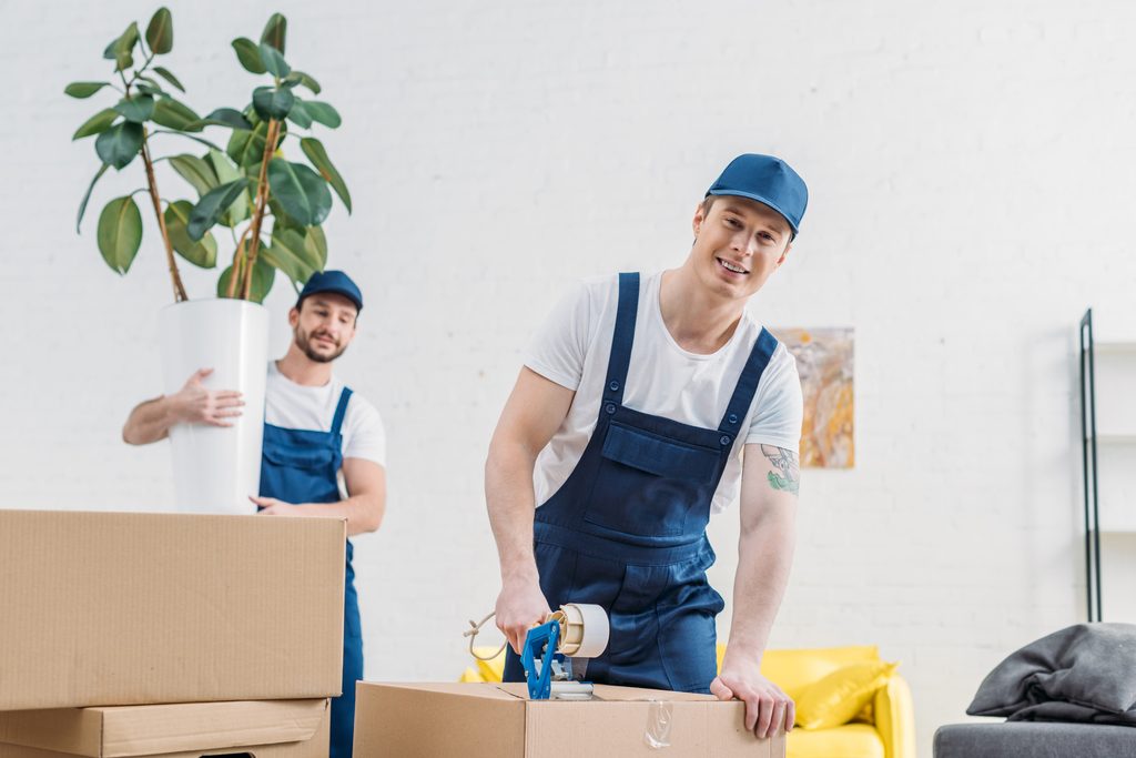 When to Book Movers in Northern Virginia 1 mover holding plant and looking at colleague wrapp 2026 01 06 00 44 28 utc 1024x683 1